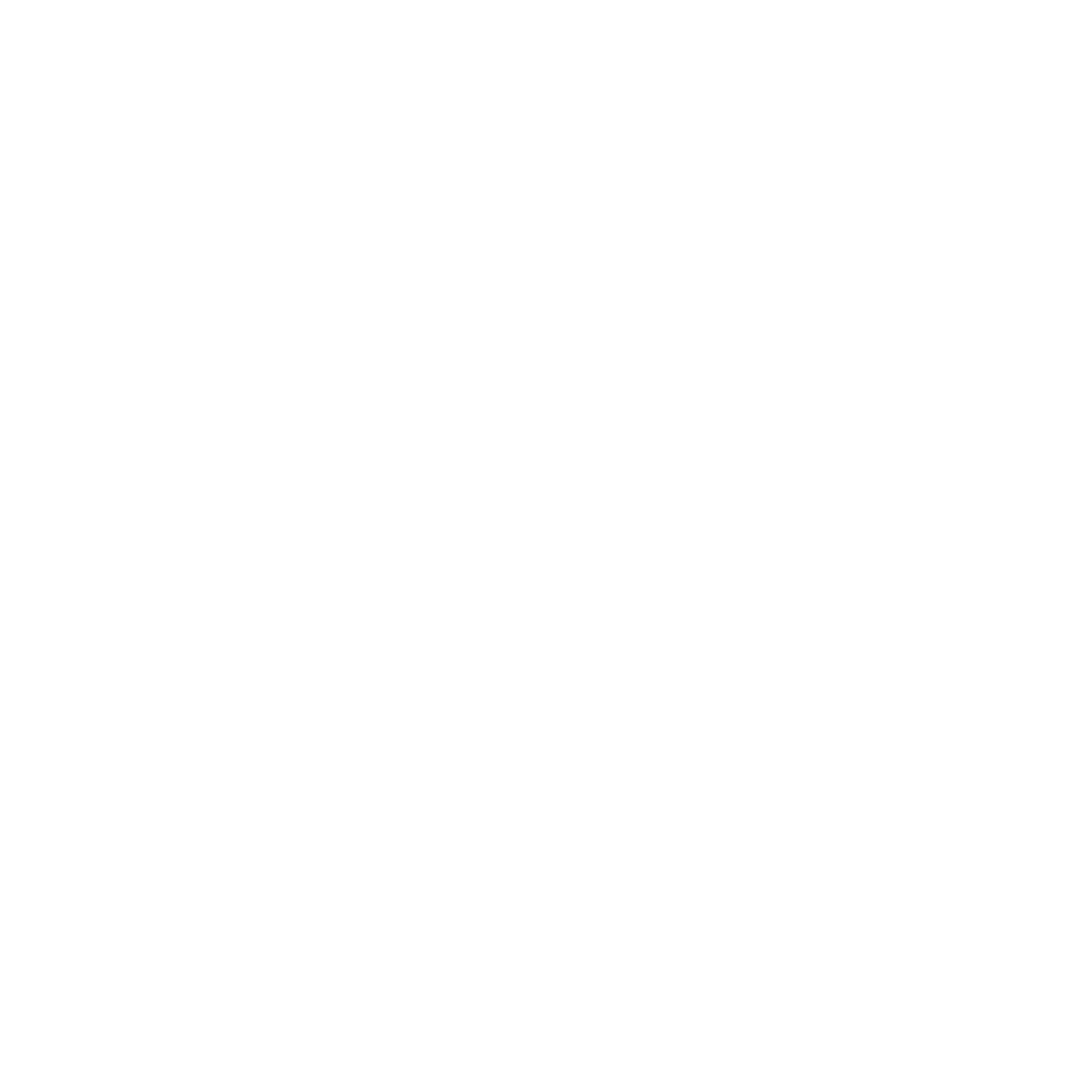 exercising safety, integrity, and honor
